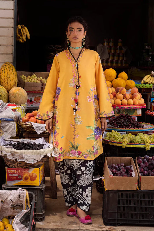 H264-005A-2C | New Arrivals | Sana Safinaz