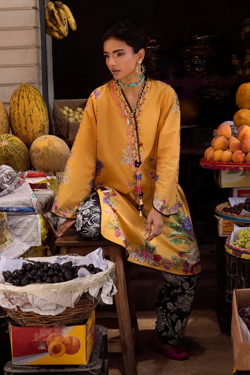H264-005A-2C | New Arrivals | Sana Safinaz