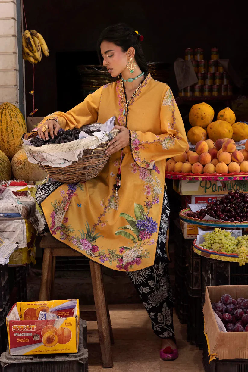 H264-005A-2C | New Arrivals | Sana Safinaz