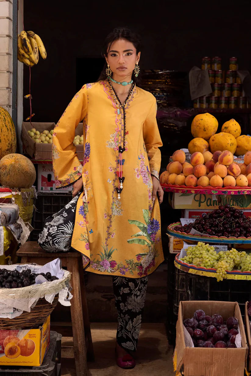 H264-005A-2C | New Arrivals | Sana Safinaz
