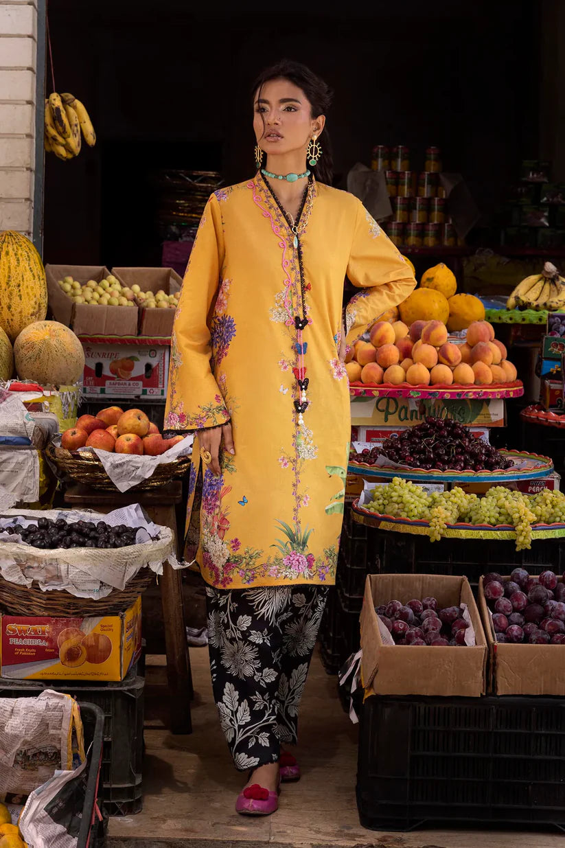 H264-005A-2C | New Arrivals | Sana Safinaz
