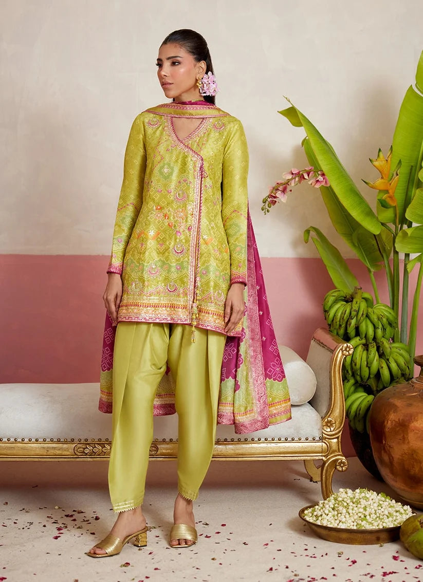 Freja Shirt And Dupatta | MAYNA FESTIVE PRINTS '26 | FARAH TALIB AZIZ