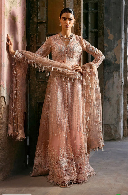 Sana Safinaz Nura Festive '25 Vol 3 - N252-007-3CX