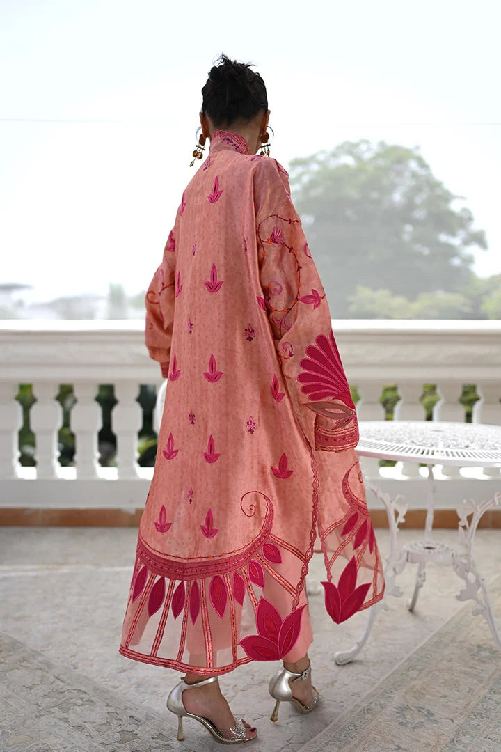 Decant | Luxe Edition '26 | Nadia Farooqui