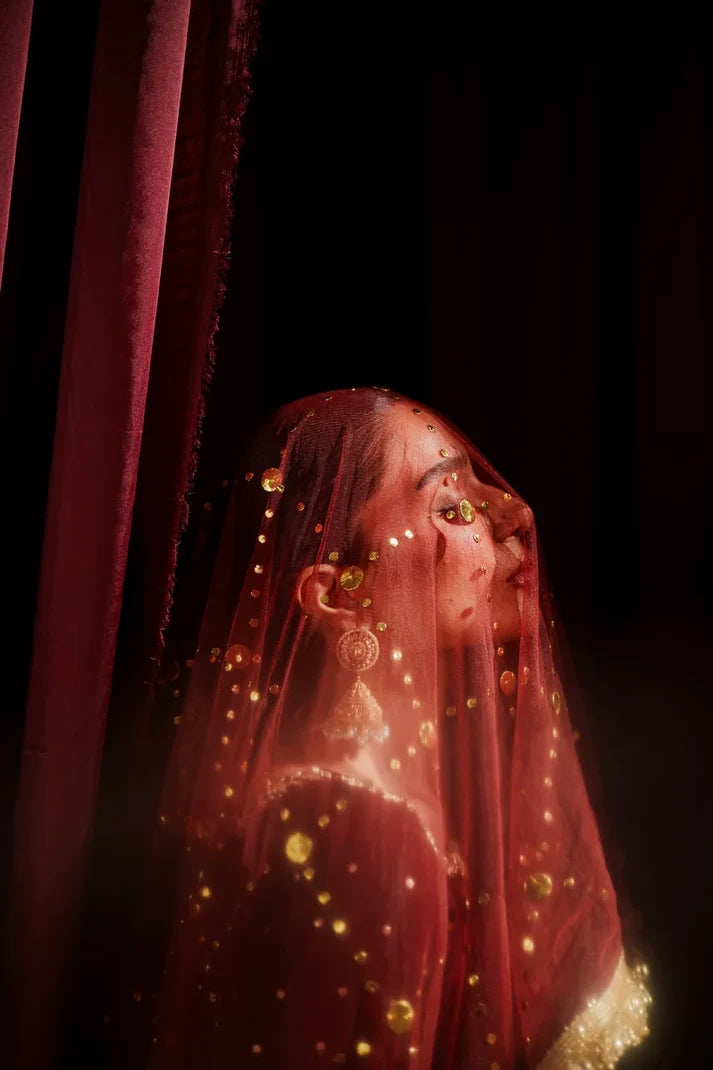 Aaara | Wedding Edit ‘26 | Shanzay Anooshay