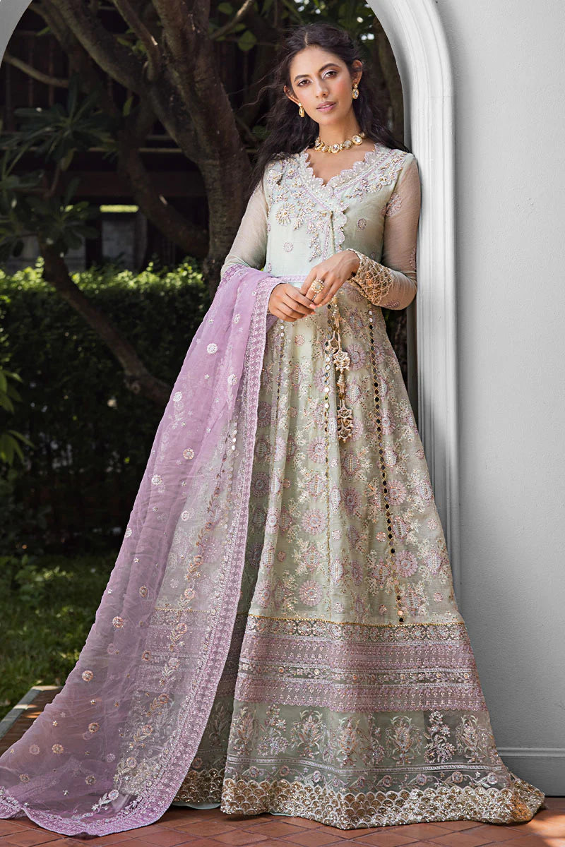Mushq Roohi Party Wear Collection | Aara