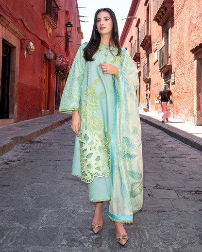 Mushq Odyssey Lawn '26 - Paloma