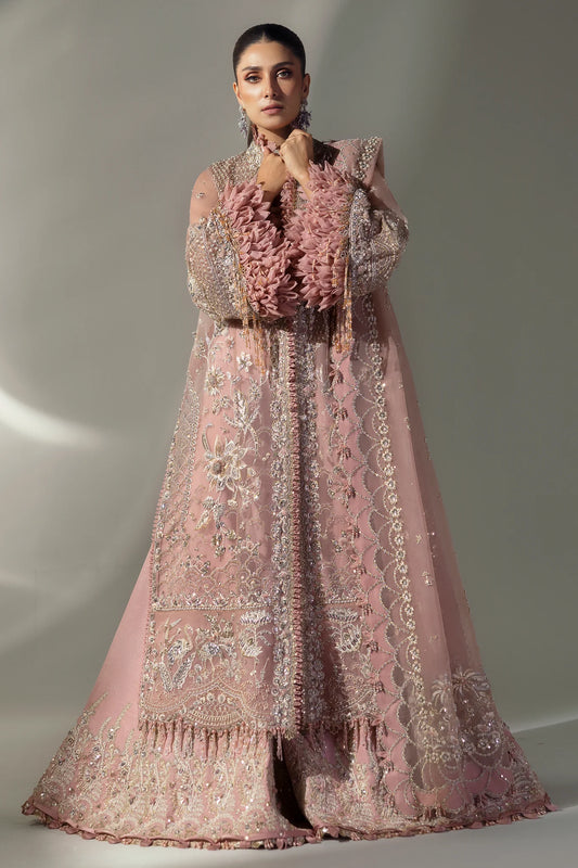 Elan Wedding Festive 2024 | EC24-07
