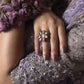 Wedding Festive - Look B2609 Aik Atelier - Wedding Festive '26 Vol 02