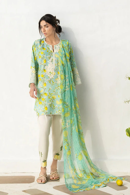 Sania Maskatiya Unstitched Lawn '26 - Ambar (A)
