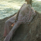 Sania Maskatiya New Arrivals '26 - Ayla