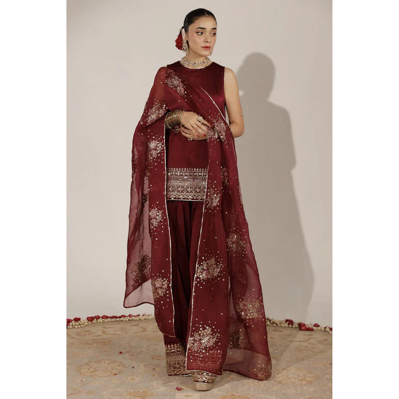 ANARI OUTFIT | JHIL MIL | DYOT