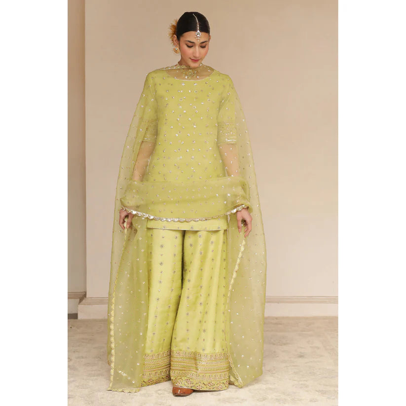 AVACADO GREEN OUTFIT | DYOT | Sheesham' 24