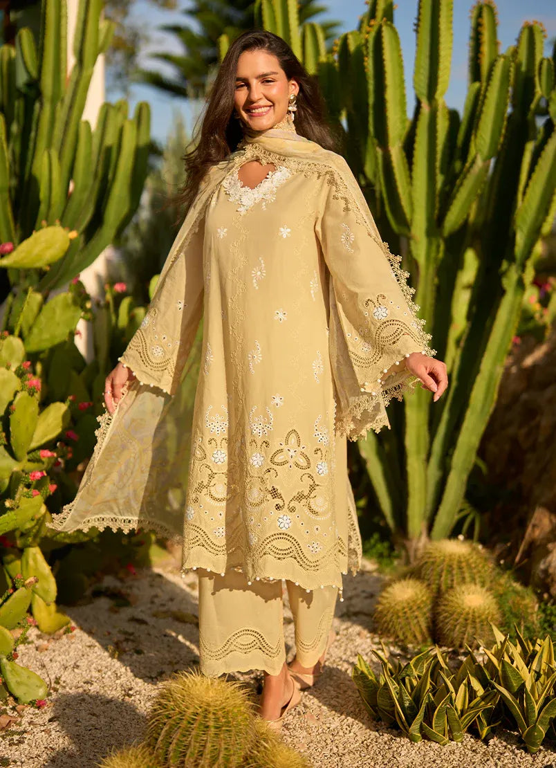 Senara | Lawnkari ’26 | IMAGE
