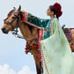 Elan Lawn '26 - Deodar (EL26-12 A)