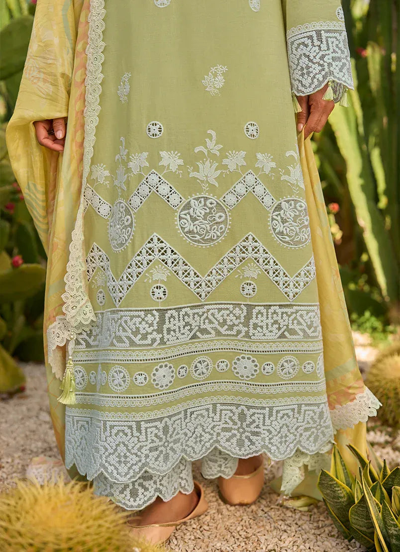 Citrine | Lawnkari ’26 | IMAGE