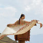 Elan Lawn '26 - Deodar (EL26-12 B)