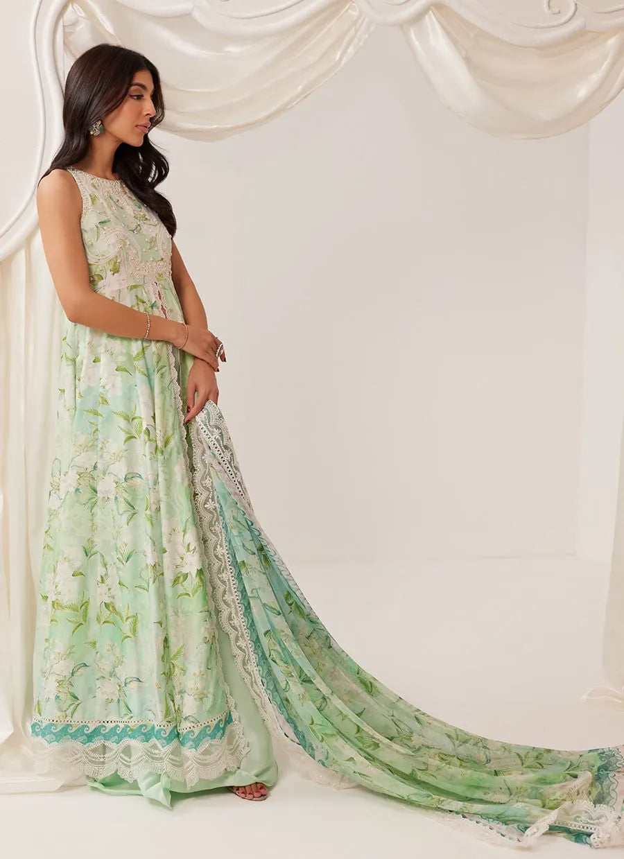 Farah Talib Aziz Ramadan Eid Frou Frou '26 - Serenelle