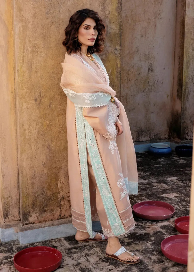 Crimson Mitti Winter '25 - Nawabi Notes