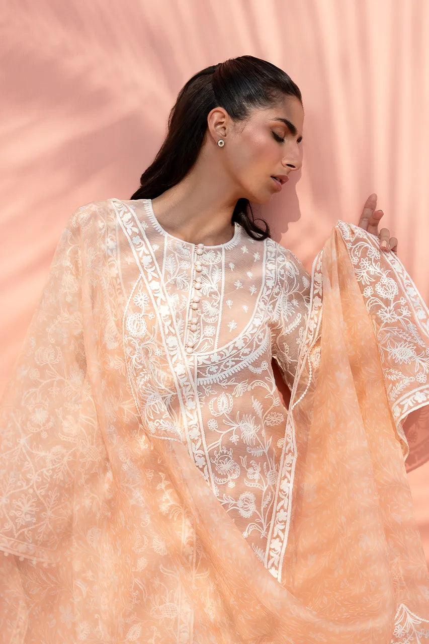 Sania Maskatiya Ramadan '26 Drop I - Nessa (B)