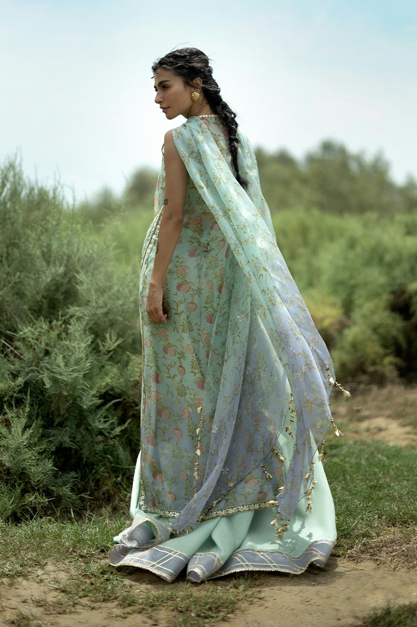 Sania Maskatiya Winter Festive '26 - Zuma (A)