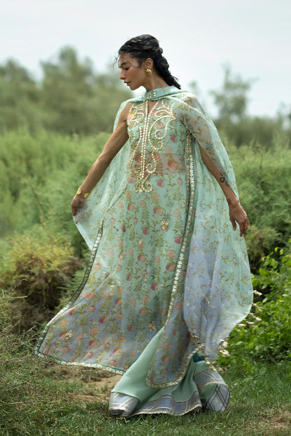 Sania Maskatiya Winter Festive '26 - Zuma (A)