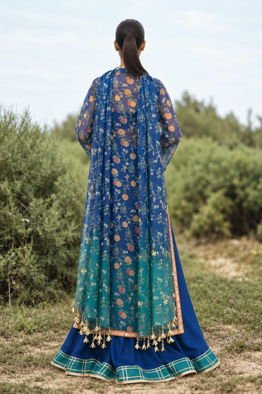 Sania Maskatiya Winter Festive '26 - Zuma (B)