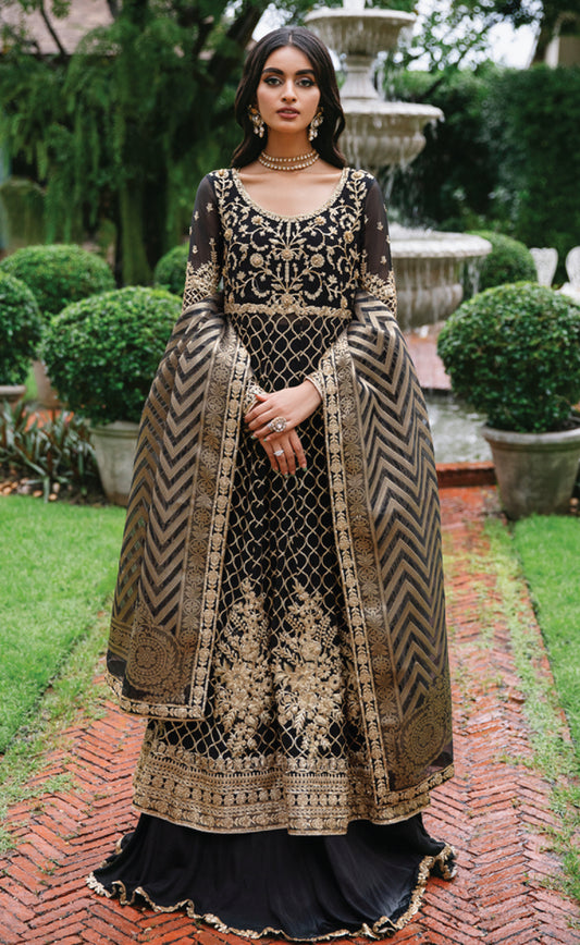 Roheenaz Aafreen Luxury Chiffon Collection – LEENA